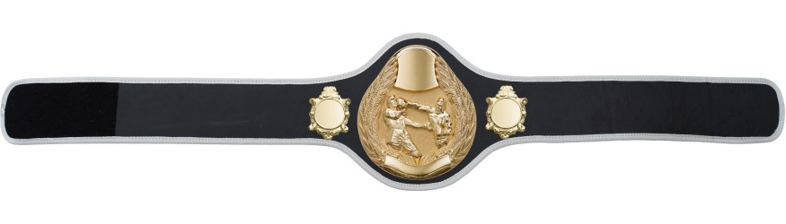 BOXING CHAMPIONSHIP BELT-PRO301/G/BOXG- 10 + COLOURS BOXING CHAMPIONSHIP BELT-PRO301/G/BOXG- 10 + COLOURS